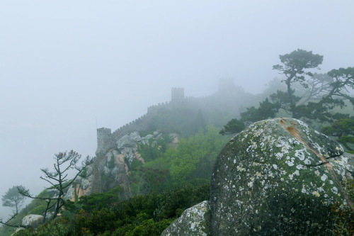 The Castle in the Fog by Dani