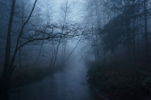 90377: Morning Fog by Vasilis Petrogiannis on Flickr.