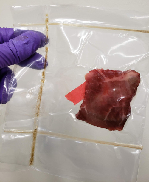 Novel composite antimicrobial film could take a bite out of foodborne illnessesA novel composite fil