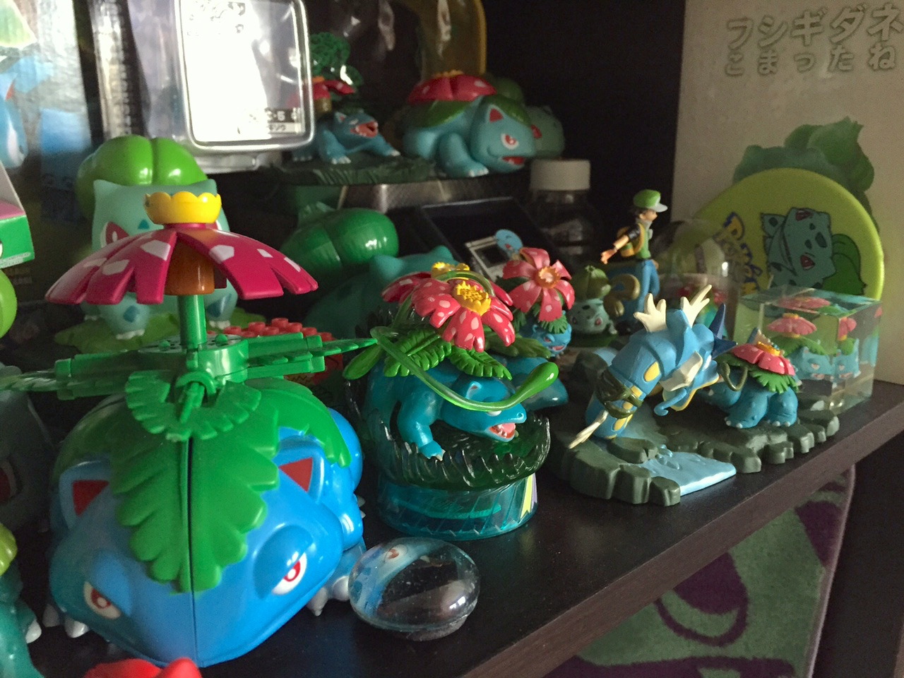 venusaurvalley:The title of my blog is Venusaur Valley because my main Pokemon collection