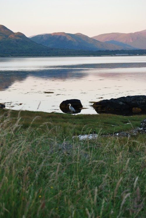 Loch Na Keal and Ben More, Isle of Mull, Scotland 2017