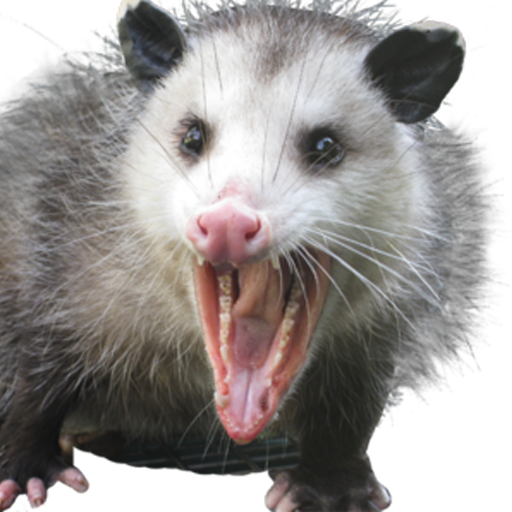 lilgaypossums:Your opinion is valid. Your