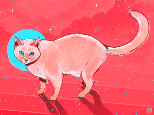 Some Of My Kitty Paintings From This Year (find My Art On Insta + Twitter + Inprnt + Twitch @jakeromanoart)watch