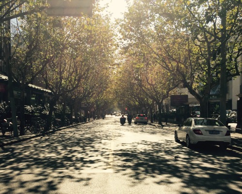 Summer Shadows, near Panyu Road at noon today.