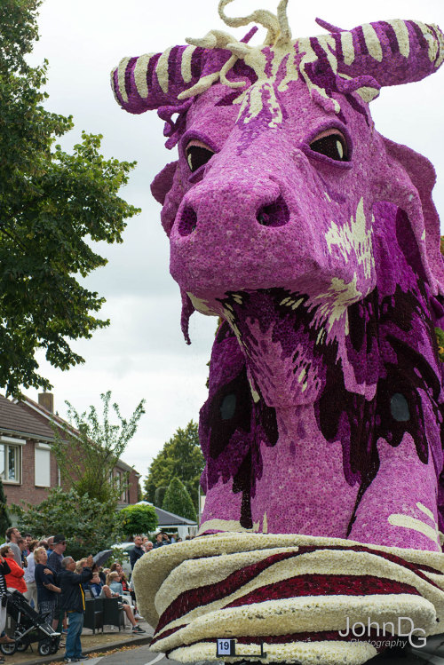 boredpanda:Giant Flower Sculptures Made From Dahlias At World’s Largest Flower Parade In The Netherl