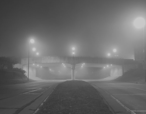 paletoxicity:  beautyofpale:  kingoffthefall:  fxancy:  +   following all pale back 