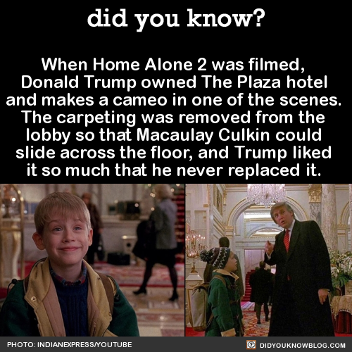 did-you-kno:  10 Home Alone 2 Facts That Will (Hopefully) Give You Tim Curry’s