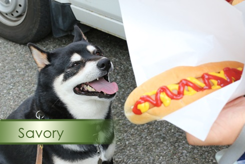 dr–wizard:  dairyphairy:  sshibe:        Tag yourselves I’m savory 