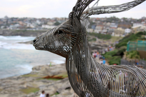 itscolossal:  Steel Animal Sculptures by Byeong Doo Moon at ‘Sculpture by the Sea’ 