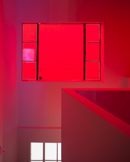 contemporaryartdaily: Diana Thater at 1301PE
