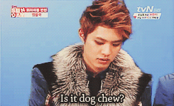 sheakaluvsjungjihoon:    Seungho meets fortune cookies for the first time •ᴥ•
