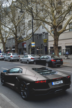 mistergoodlife:  Aventador ║ Via ║ Goodlife  AAAAAVENTADOOOOOR ❤ dont just reblog, for more go follow skippadap! ☺ http://www.skippadap.tumblr.com ❤