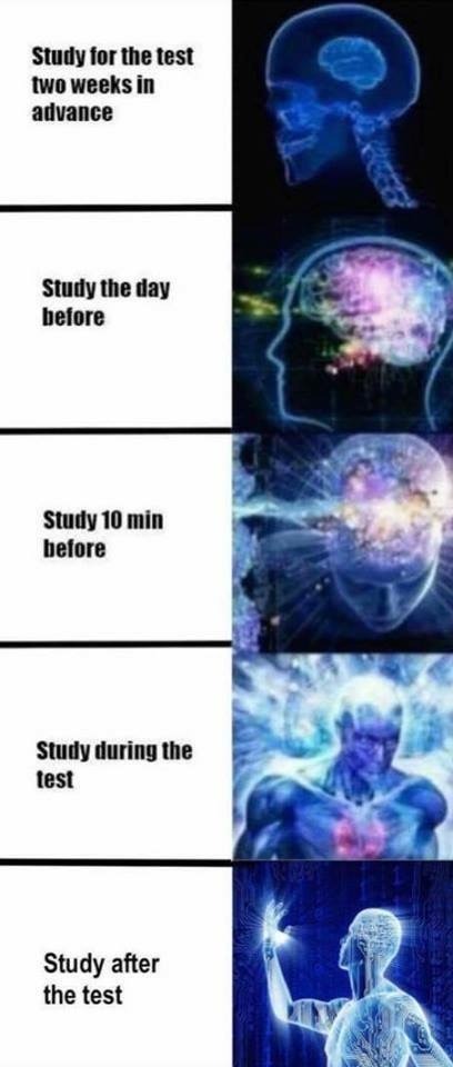 Dank Meme University