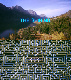 vintagesalt:  You’ve had your whole FUCKING LIFE to think things over, what good’s a few minutes more gonna do you now?  The Shining (1980) 