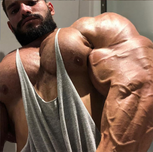 thebeeflover - TheNeonMain