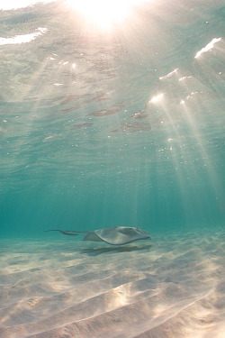 celestiol:  Good morning sunshine (Cayman Islands) | by Ellen Cuylaerts