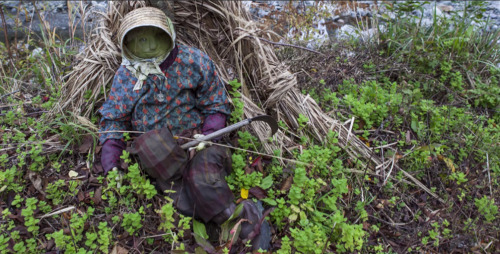 sixpenceee:  “Nestled in the hidden valleys of Shikoku, Japan, is the village of Nagoro. Its remote location has led its residents to leave for big cities in search for work. With not even a local store, there’s little reason for immigration,