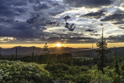 sketchycrouton:Oregon wilderness