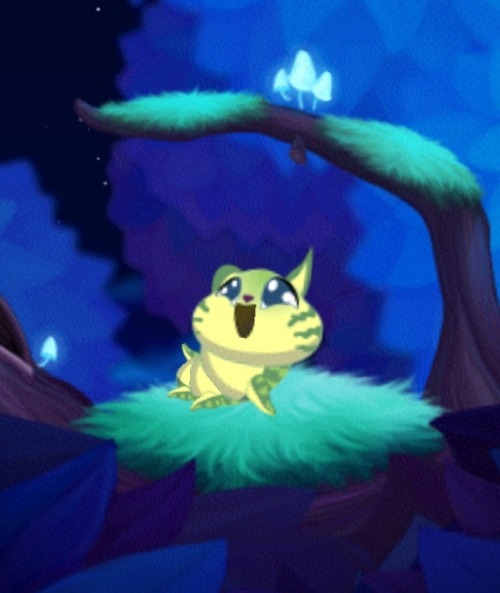 Look At The Cute Baby