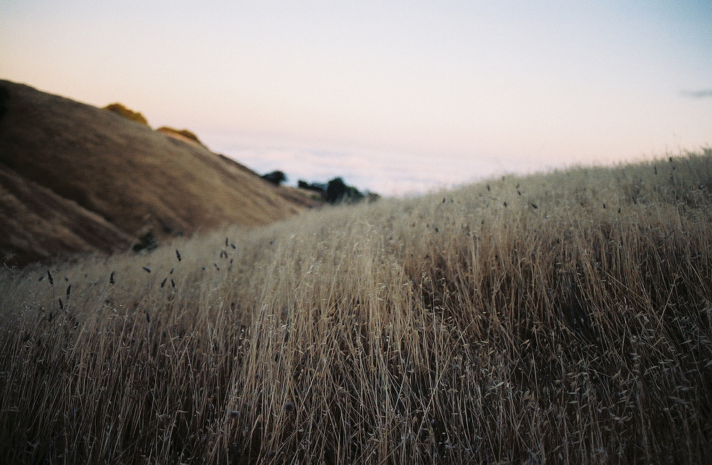 vakent:   (by megatronison 