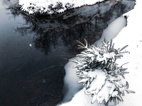 Late winter days, camping in my beloved Ore mountains…