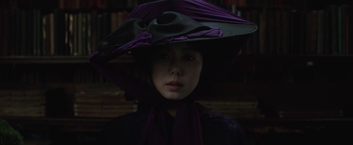 The Handmaiden (2016) directed by: Park Chan-wook