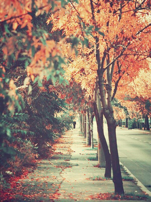 fallfaves:  We Heart It. 