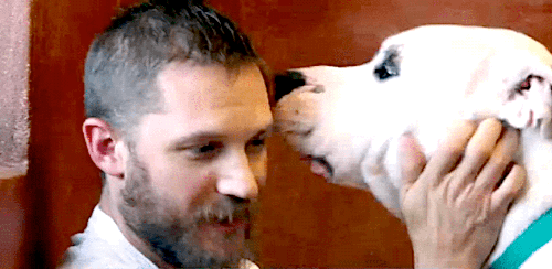 tomhardyvariations:Tom Hardy kissing a big, BIG love.Paul O’Grady was just on ITV’s This Morning to 