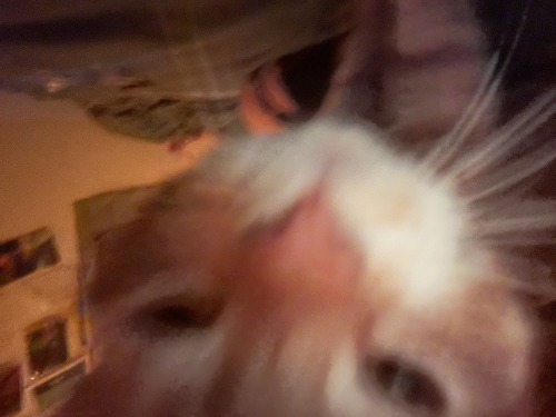 More Goober