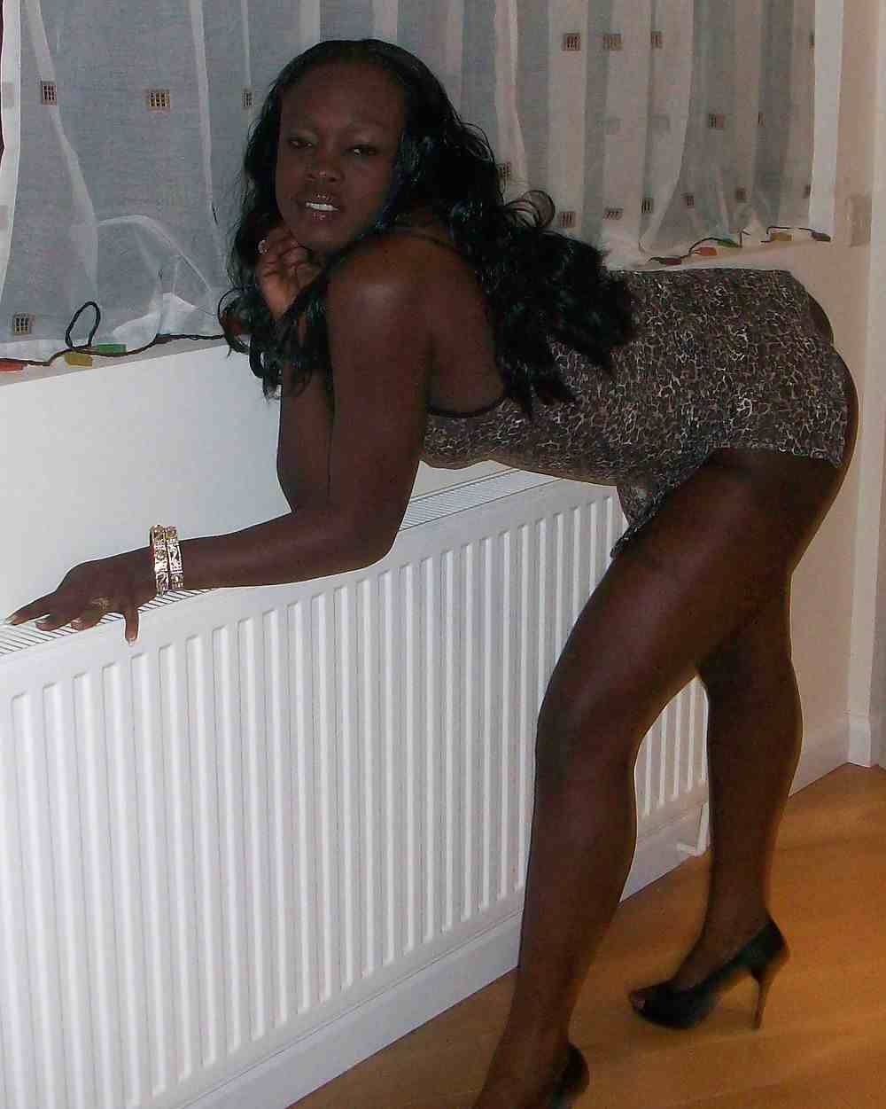 Chocolate Honeys