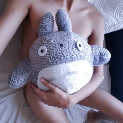 gemphase:  my cuddle buddy totoro   ♡