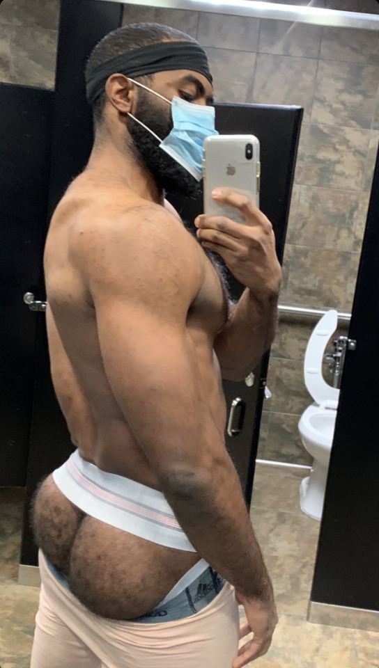 Darkstalliondmv: