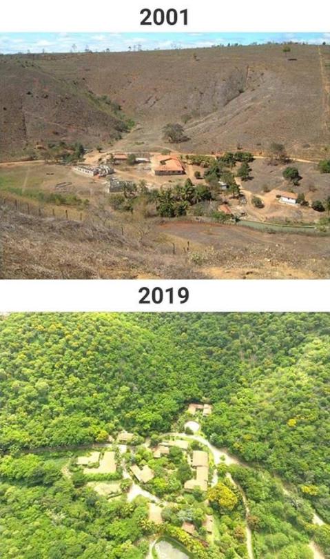 quasi-normalcy: dancinbutterfly:  why-ask-why:  Today I learned about a couple that decided to rebuild their deserted piece of land of 600 hectares in Aimorés, Brazil. They planted more than 2 million tree saplings. As a result, the site has 293 plant