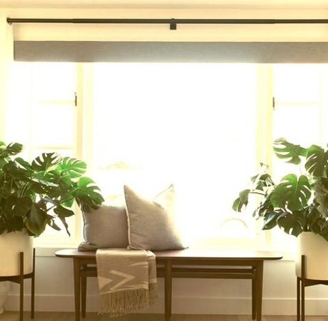 Formal Orange CountyLiving Room - Large 1960s Formal And Open Concept Light Wood Floor Living Room Idea