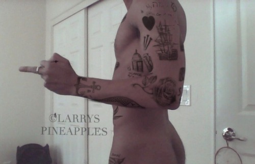 larryspineapple-nsfw:  cam!boy harry. 