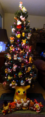 pacificpikachu: I Pokémon-ified the Christmas tree! It was a temporary thing by necessity because my foster dog will chew up toys if he can get to them, but I had fun setting it up anyway! (Also, Tumblr totally screwed up the first photo, sorry.) 