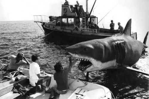 fuckyeahdirectors: Steven Spielberg on the set of Jaws (1975)