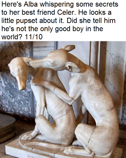 thoodleoo:i am completely here for the idea of the dog_rates twitter but with dogs from ancient art