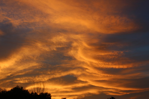 These golden streaks 