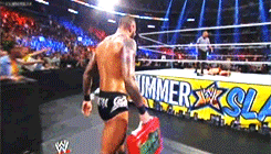 theshowstealer:  WWE Summerslam (19/08/2013): Randy Orton cashes his Money In The Bank Contract to become the new WWE Champion  A Summerslam moment to remember