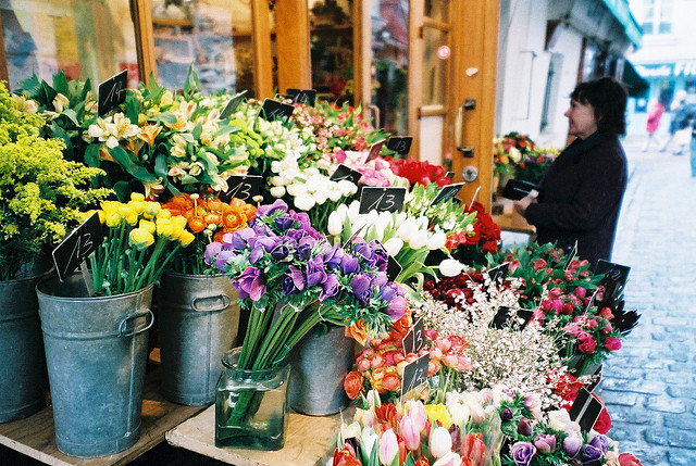 pariesa:  untitled by *Kazu on Flickr.