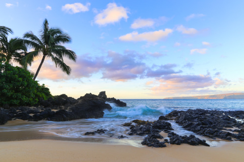 expressions-of-nature: Maui Morning, Hawaii by Joe Parks