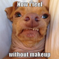 srsfunny:  Feeling ugly in the mornings…http://srsfunny.tumblr.com/