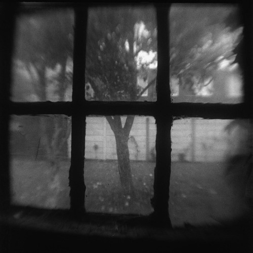 The Window ScreenMARCH 15, 2016 The backstory: This story was told to me by my friend’s o