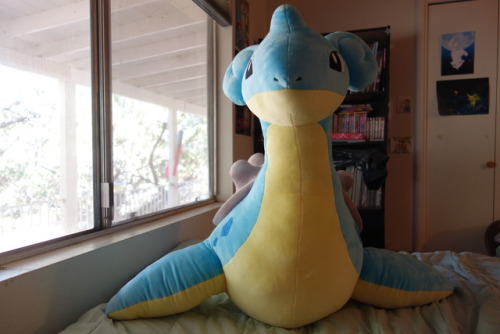 pokescans: Big Size Lapras plush, around 27″ tall. The last picture is a size comparison with 