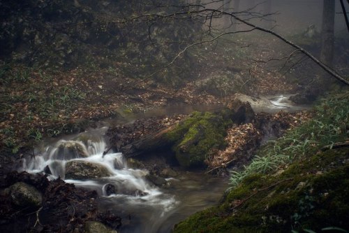 alteriusnocte: by Sergey Yablokov
