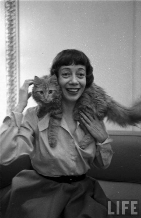 Imogene Coca and cat(Alfred Eisenstaedt. 1951)