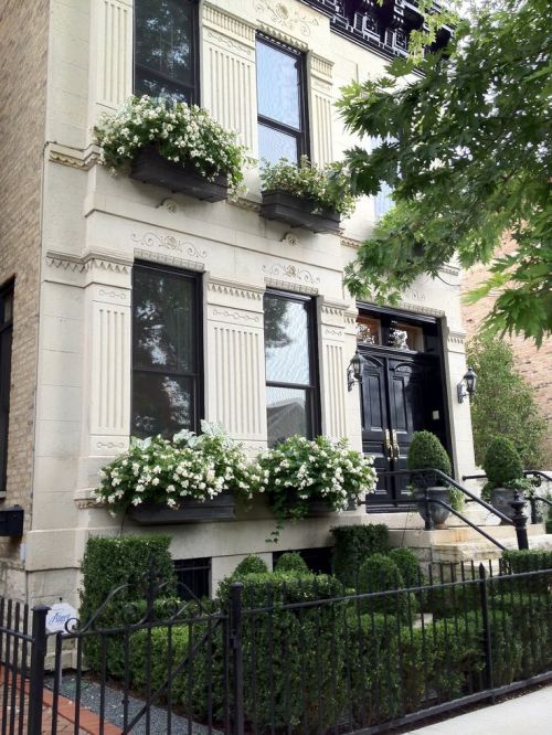 thefoodogatemyhomework:Limestone townhouse with glossy black doors and cornice, complete with green 