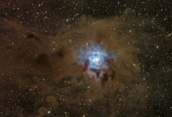 the-wolf-and-moon:  Dusty Iris Nebula   Good night…..