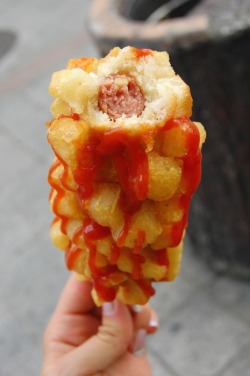 pr0lix:  french fry corn dog  unhealthy but looks bomb